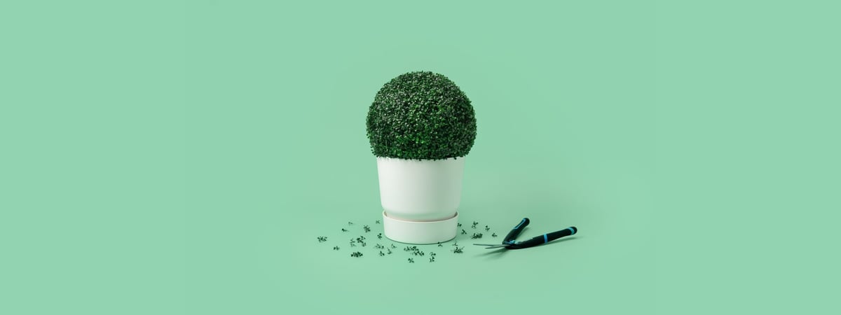 Plant met snoeischaar.