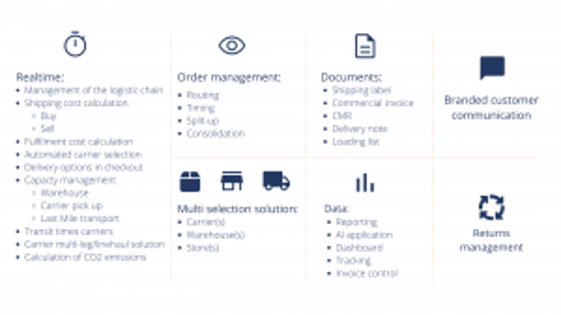 Infographic with logistical solutions: real-time, order management, documents, brand communication, and return management, with corresponding icons.