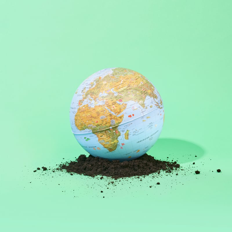 globe de la durabilité dans la terre