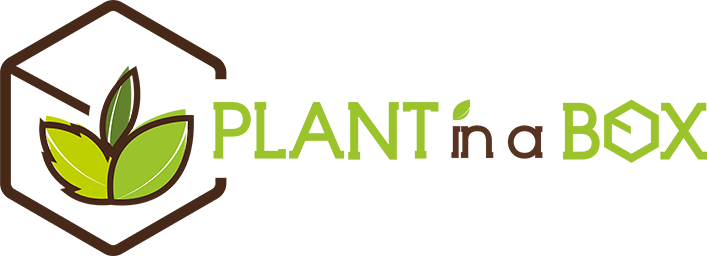plant-in-a-box