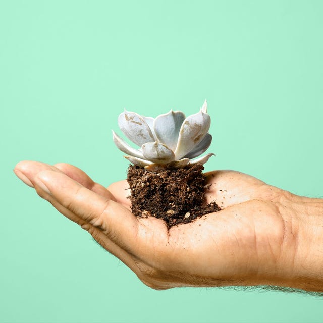 DuurzameStofzuigers.png DuurzameStofzuigers.png