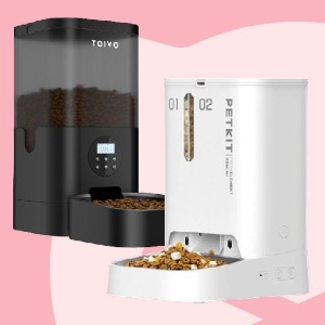 Kittenwinkel_AutomatischeVoerbakken.jpg Kittenwinkel_AutomatischeVoerbakken.jpg