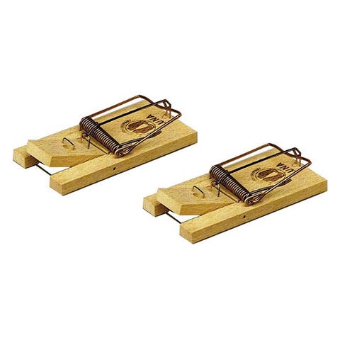 Ongediertebestrijding