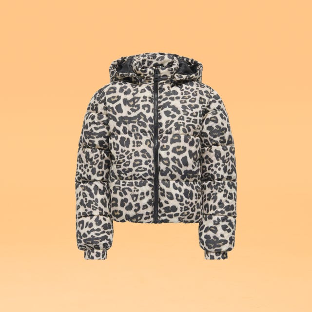 Jas_sdl_oktober.png Jas_sdl_oktober.png