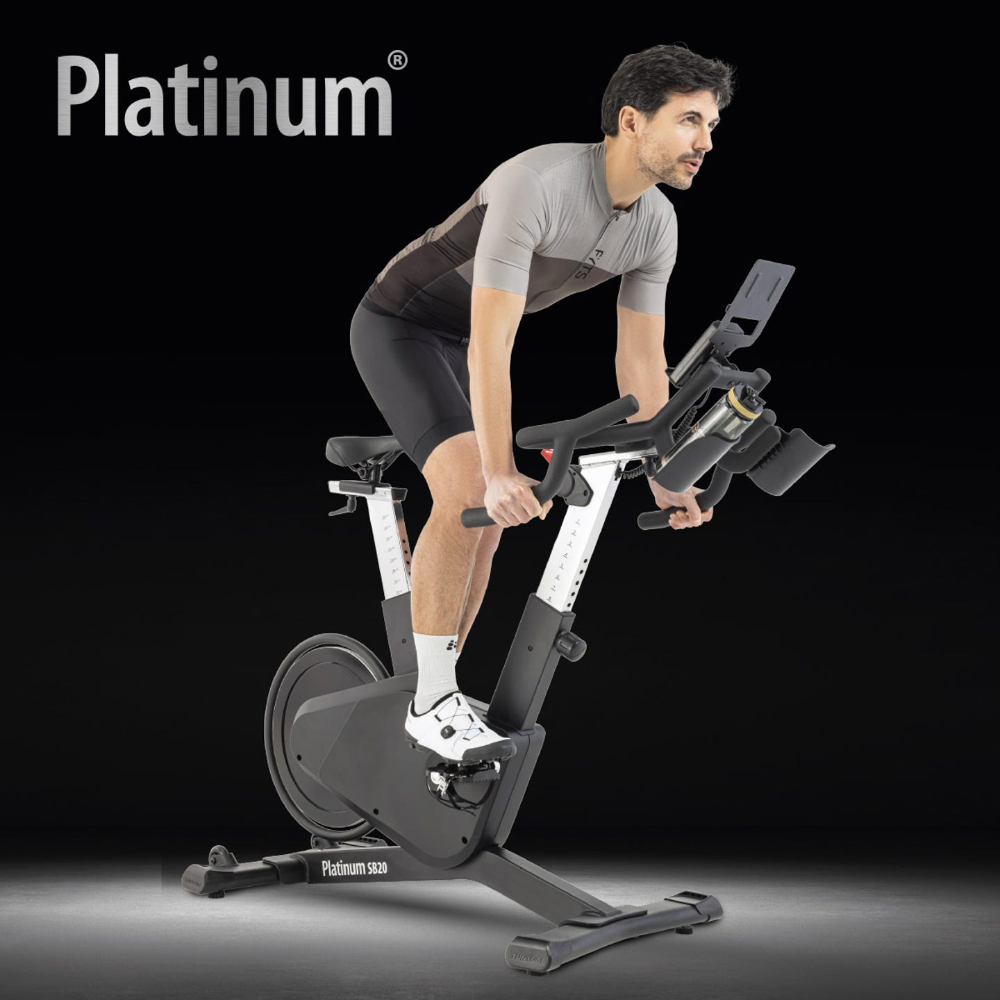 Platinum tunturi.jpg