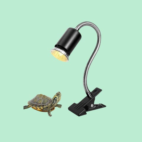 Terrariumverlichting