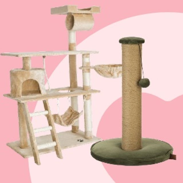 Kittenwinkel_Krabpalen.jpg Kittenwinkel_Krabpalen.jpg