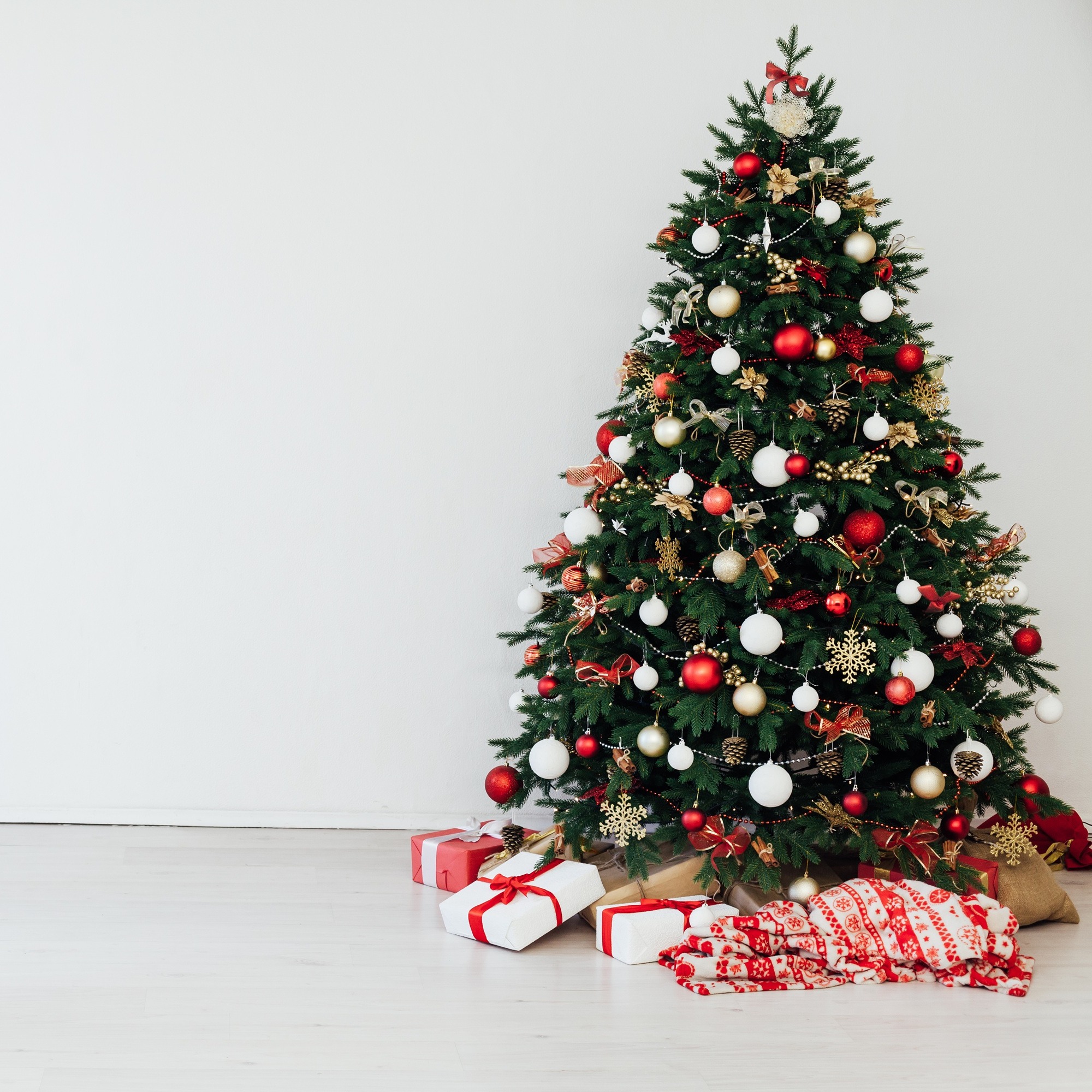 Excellent Trees | bol