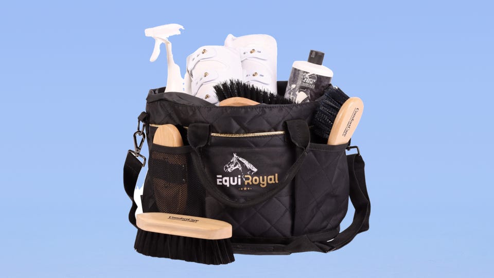 Poetstas met borstels.png Poetstas met borstels.png