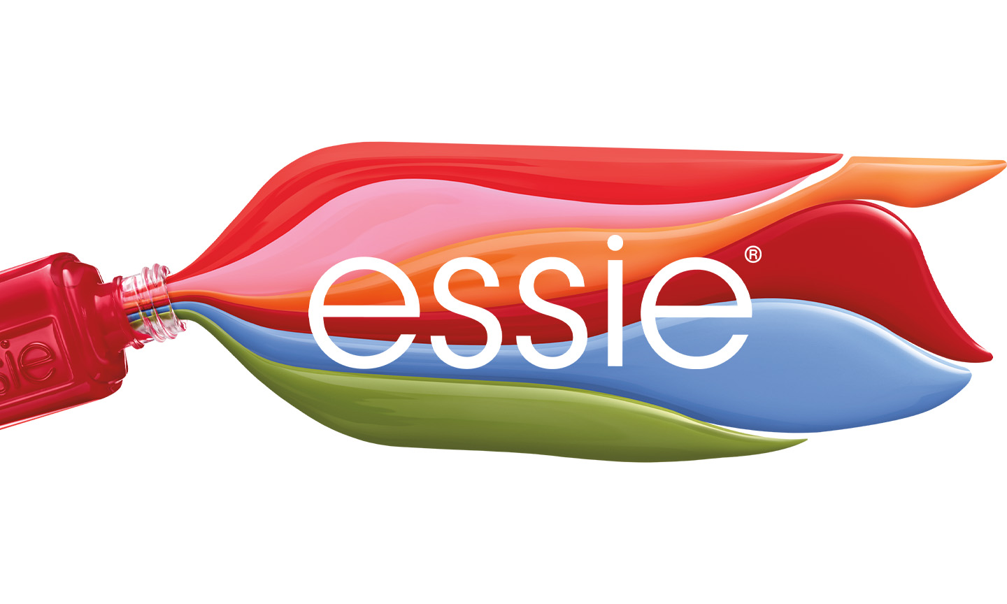 entrez dans notre monde coloré