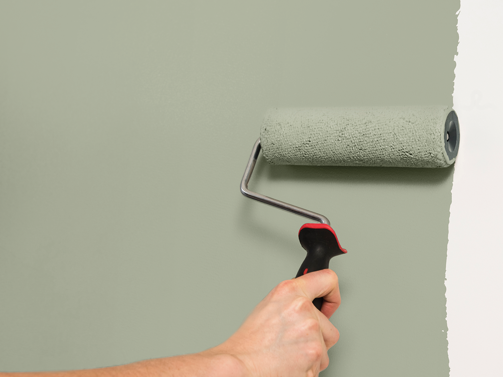 Flexa muurverf en roller