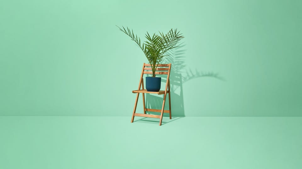 Duurzamere tuin Duurzamere tuin