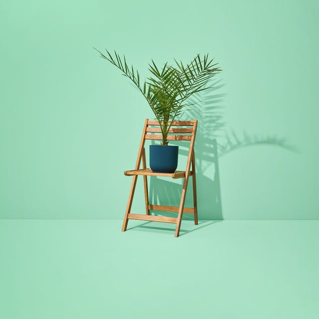 Duurzamere tuin Duurzamere tuin