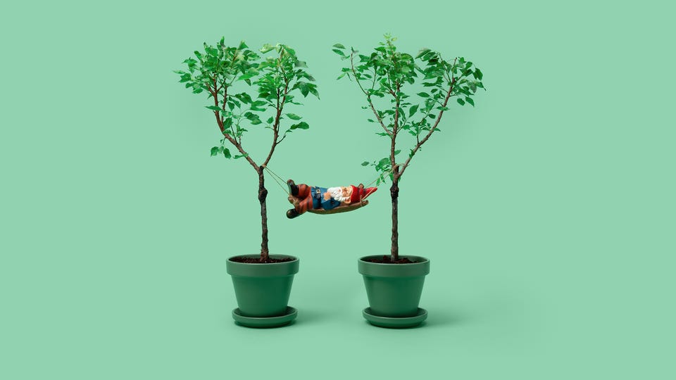 Tuincadeaus Tuincadeaus