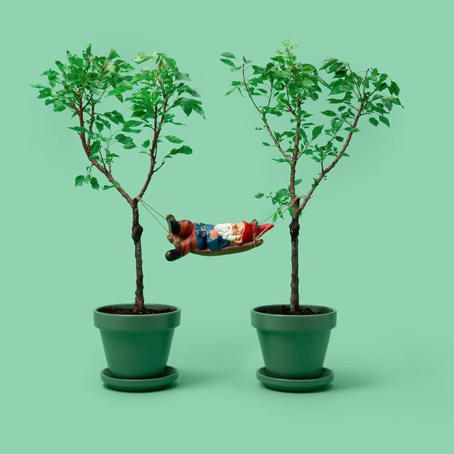 Tuincadeaus Tuincadeaus