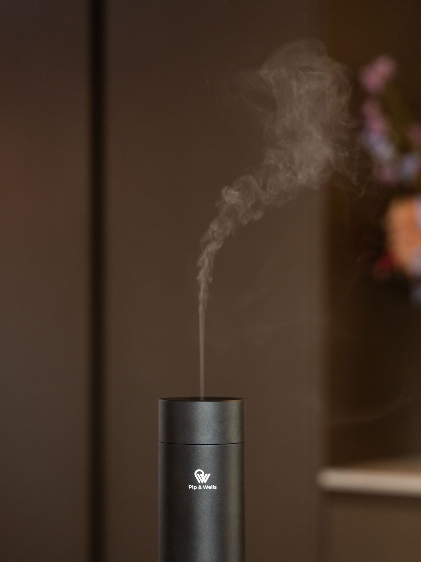 Pip Diffusers Pip & Wells | bol