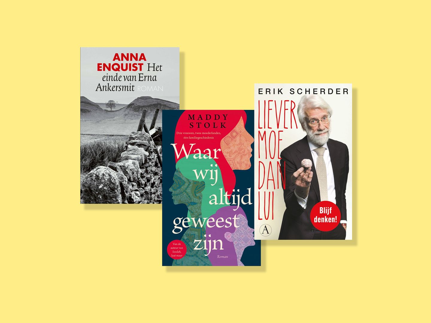 Schrijvers van eigen bodem.png