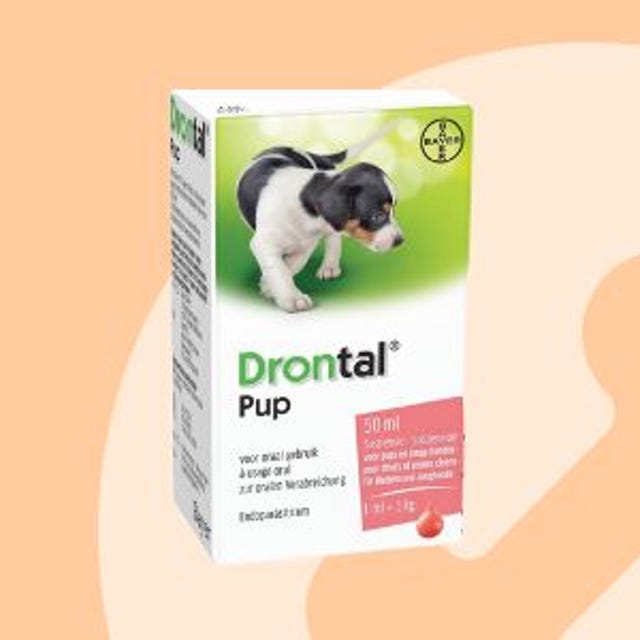 puppy_ontworming.jpg puppy_ontworming.jpg