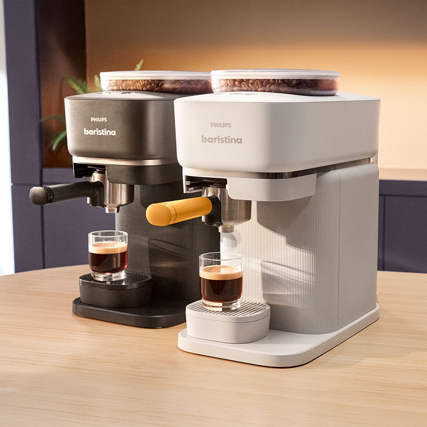 baristina bol brandpage.jpg