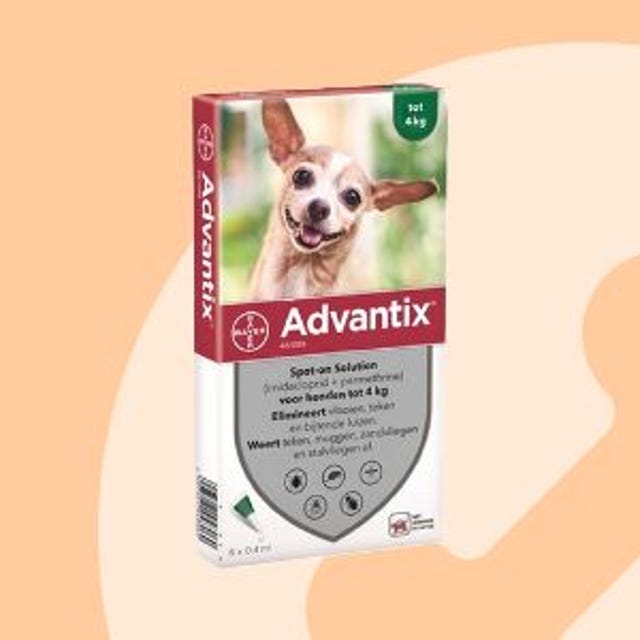 puppy_ontvlooien.jpg puppy_ontvlooien.jpg