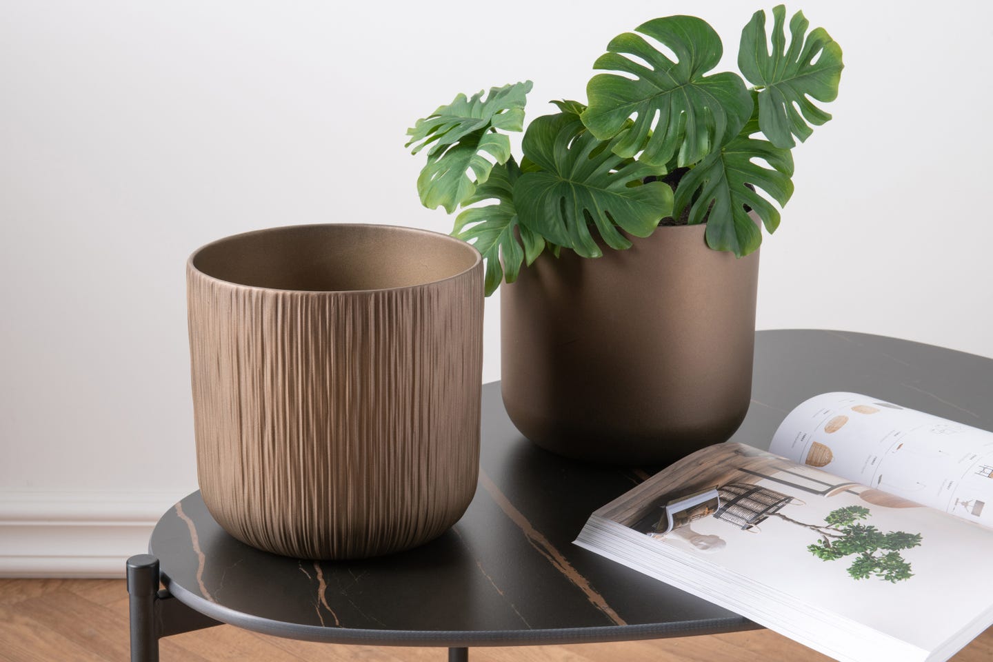 bloempotten met plant