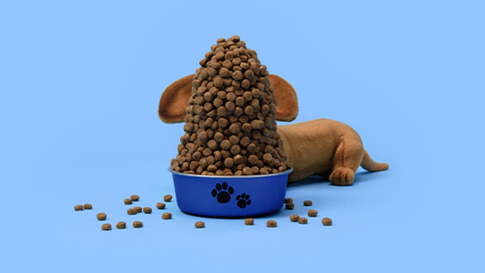 NBA_huisdieren_flex.jpg NBA_huisdieren_flex.jpg