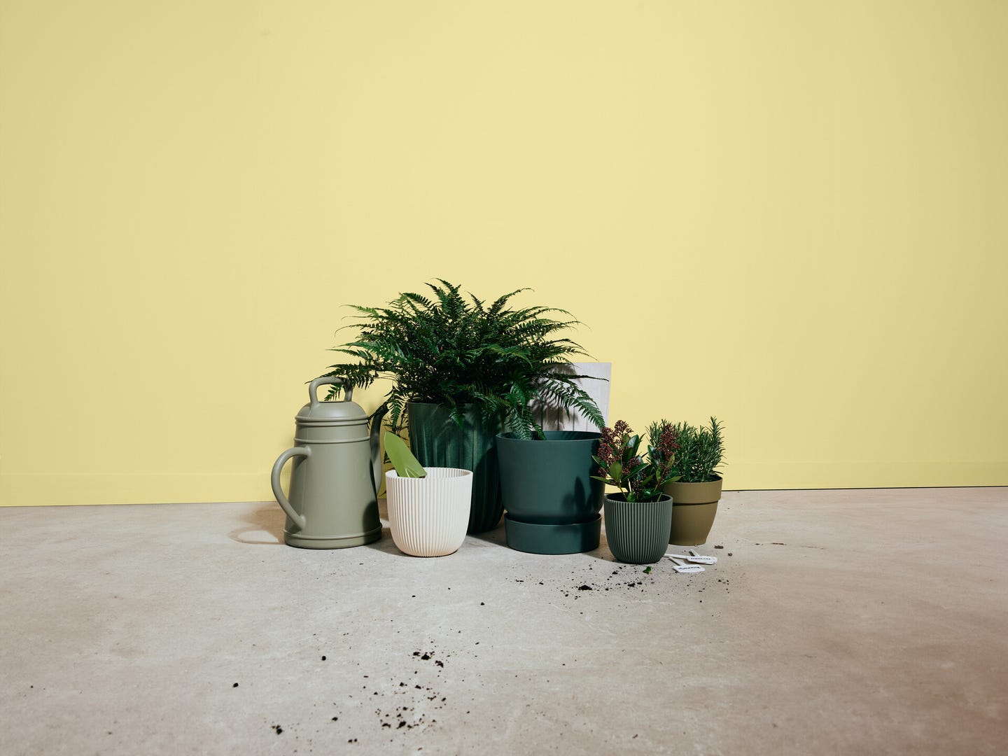 Groene tuin.jpg