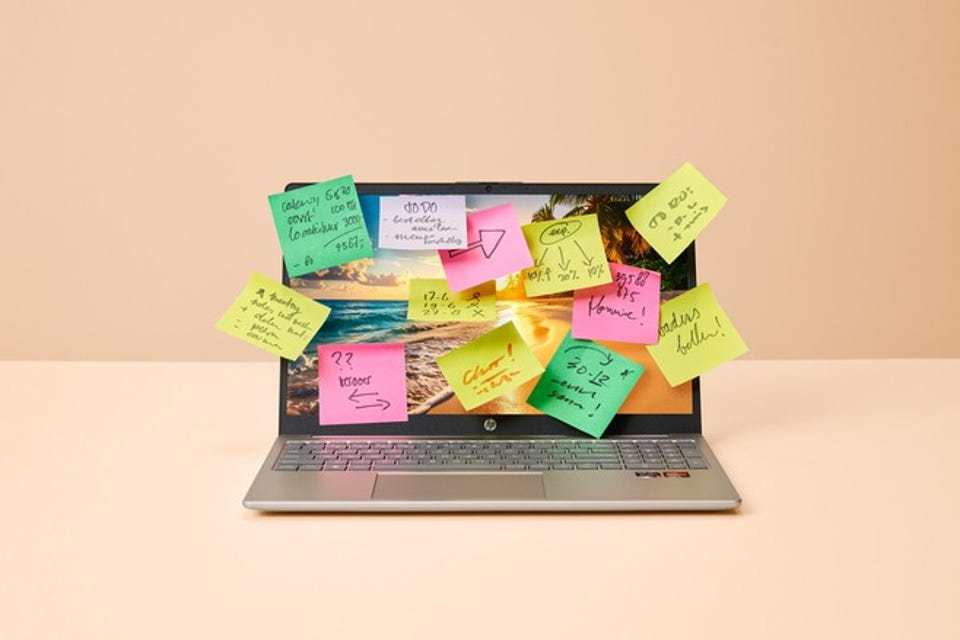 WMW 2025 beeld maat aangepast.jpg