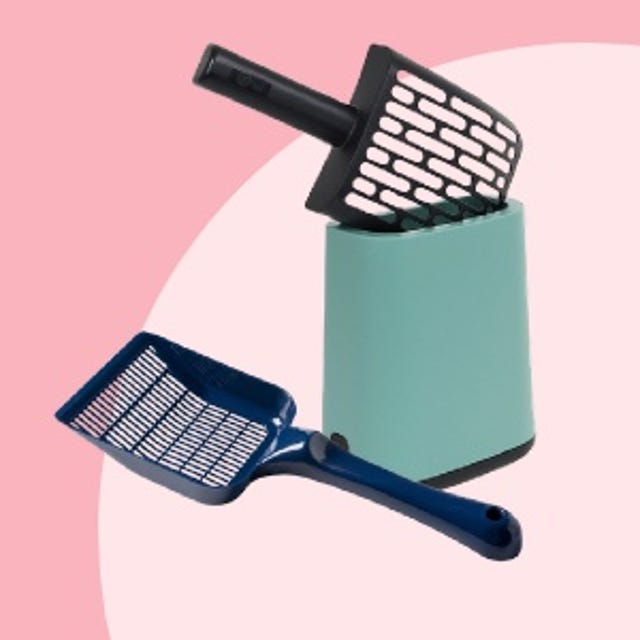 Kittenwinkel_Kattenbakschepjes.jpg Kittenwinkel_Kattenbakschepjes.jpg