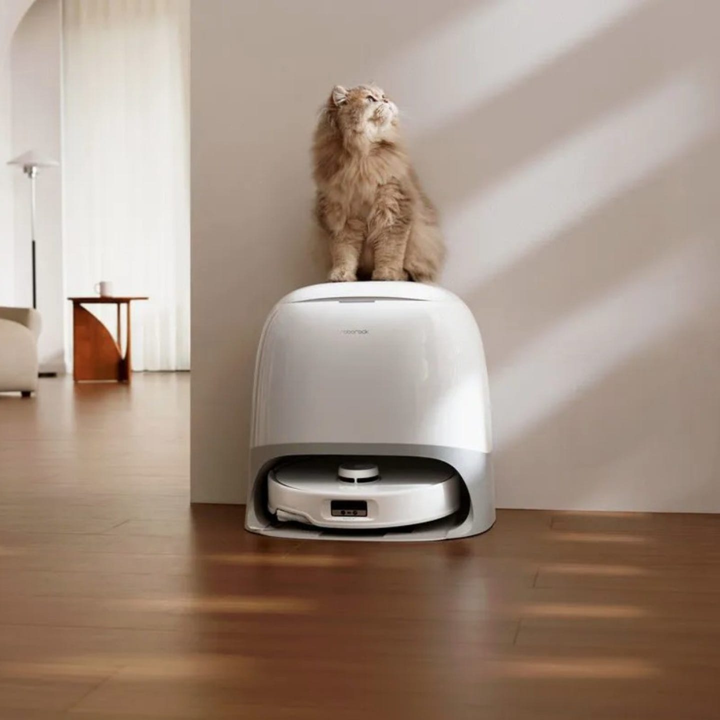 Automatisch leegstation voor huisdieren.jpg
