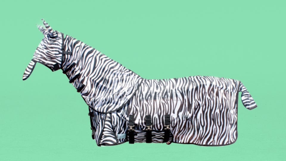 Qhp Vliegendeken Qhp Met Hals En Masker Zebra.png Qhp Vliegendeken Qhp Met Hals En Masker Zebra.png