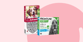 Hoe bescherm je je hond tegen teken en vlooien? | bol.com