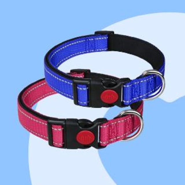 puppy_halsbanden.jpg puppy_halsbanden.jpg