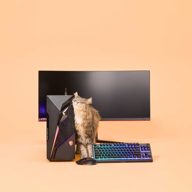 03_2024_Q02_CMS_CG_Gaming_02.jpg 03_2024_Q02_CMS_CG_Gaming_02.jpg