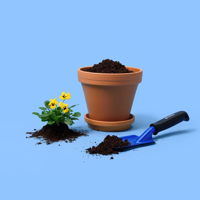 2024_Q1_NBA_Start Voorjaarsseizoen_RGB.jpg 2024_Q1_NBA_Start Voorjaarsseizoen_RGB.jpg