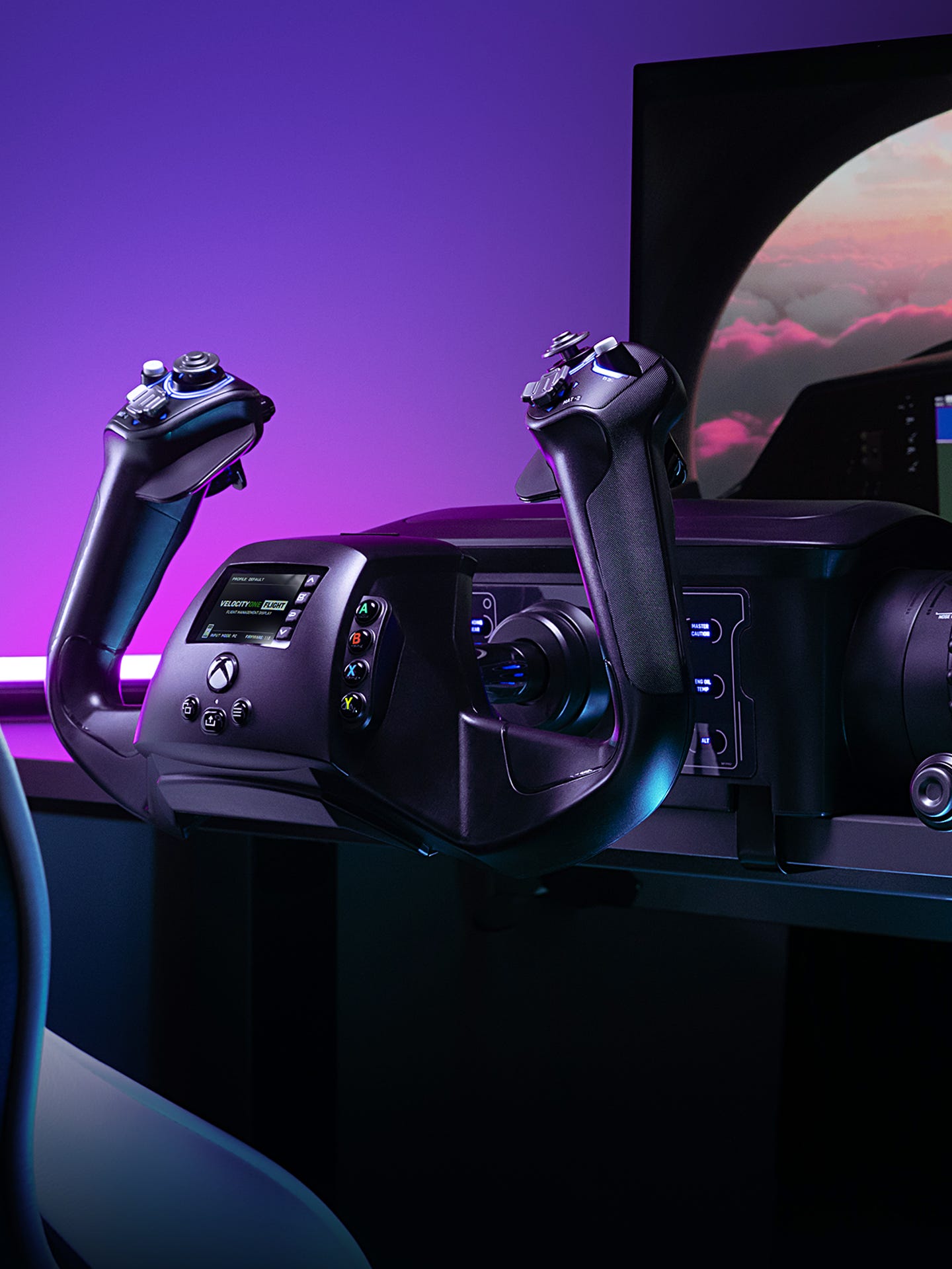 Turtle Beach Simulation