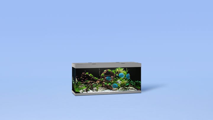 aquascaping.png aquascaping.png