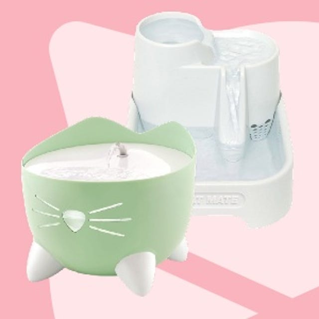 DrinkfonteinenVoorKatten_Kittenwinkel.jpg DrinkfonteinenVoorKatten_Kittenwinkel.jpg