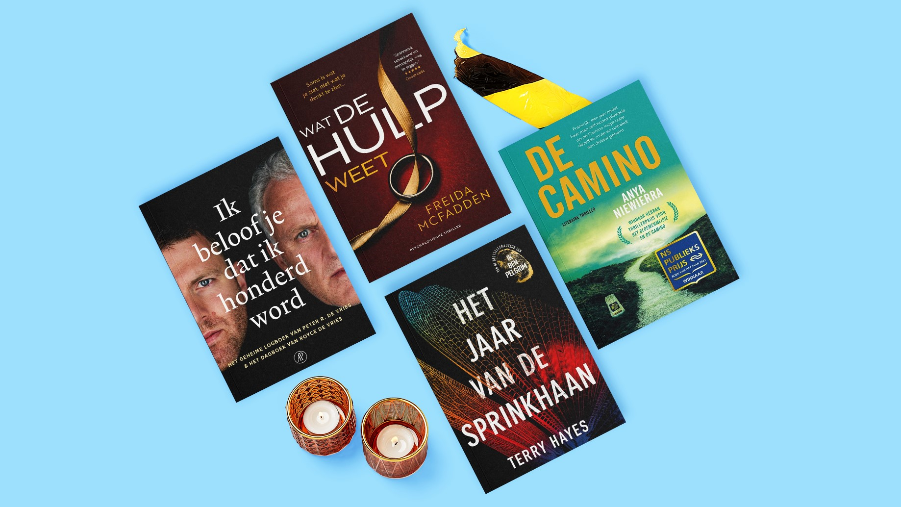Thrillers & Spanning | bol