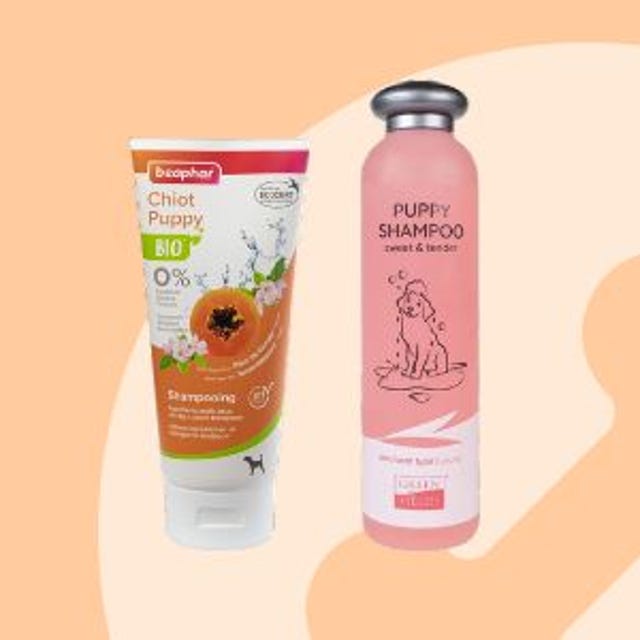 puppy_shampoo.jpg puppy_shampoo.jpg