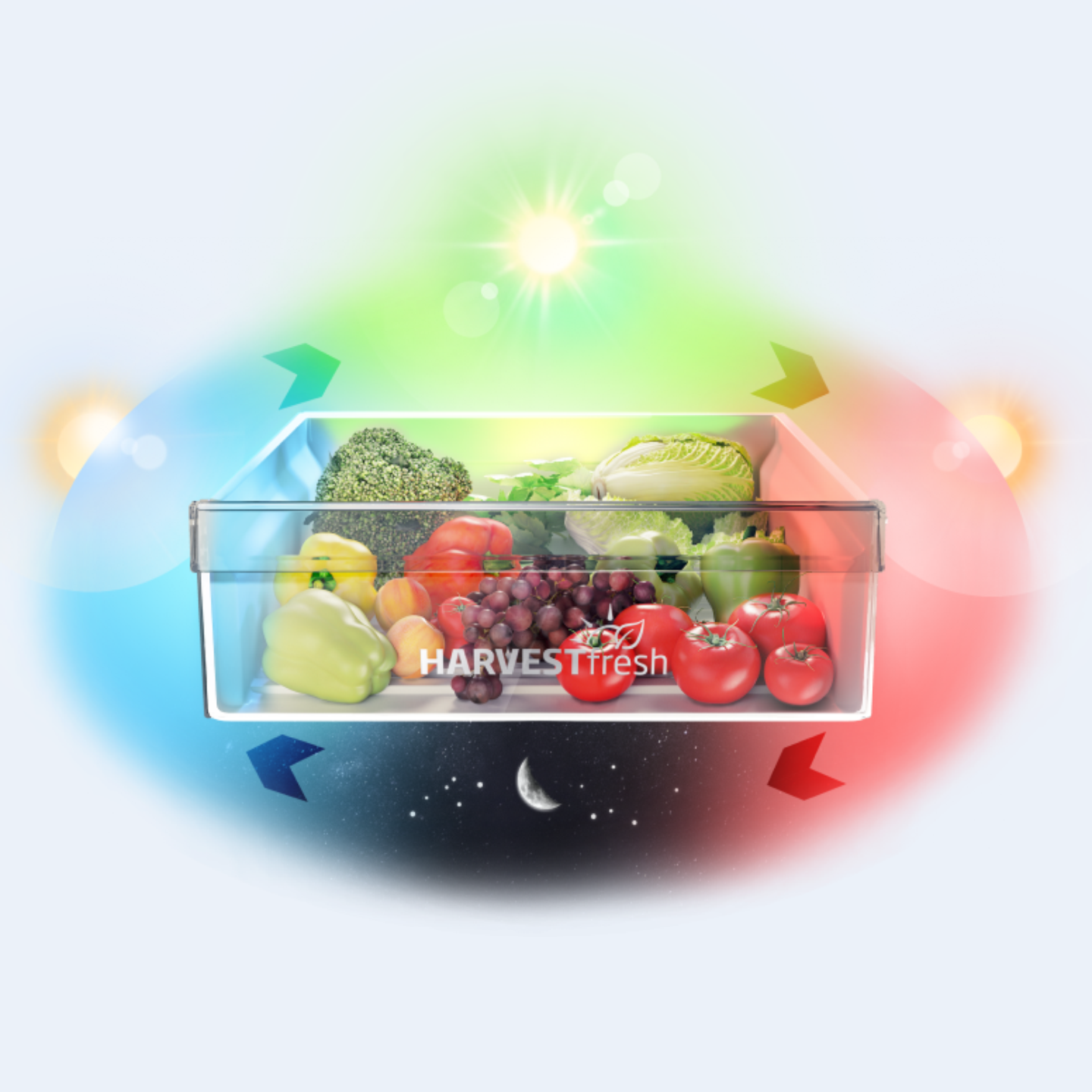 Versbak_van_een_koelkast_met_groente_en_fruit_met_24_uurs_zoncyclus.png