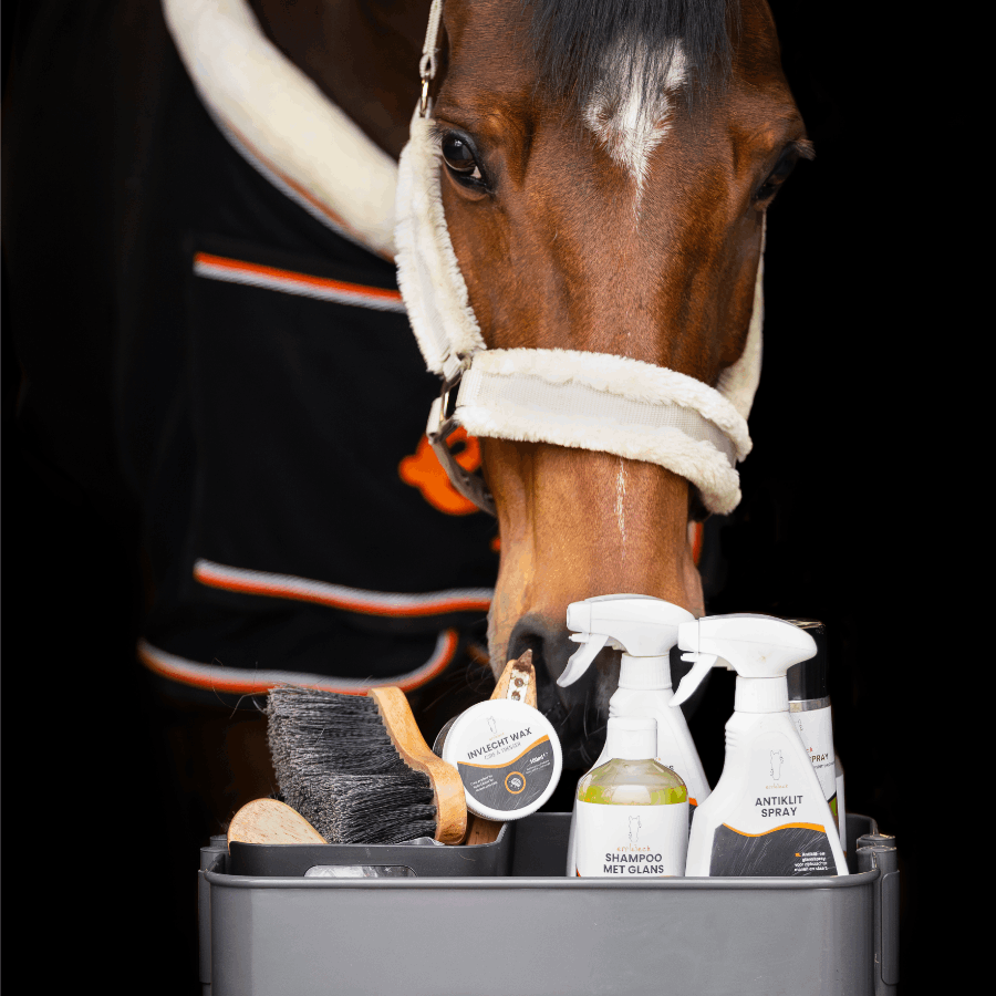 epplejeck-product_spotlight-1.png