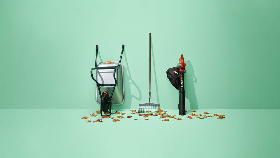 Tuinruimers Tuinruimers