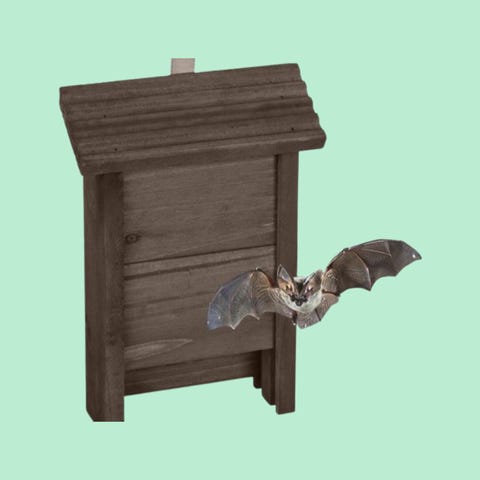 Vleermuiskasten