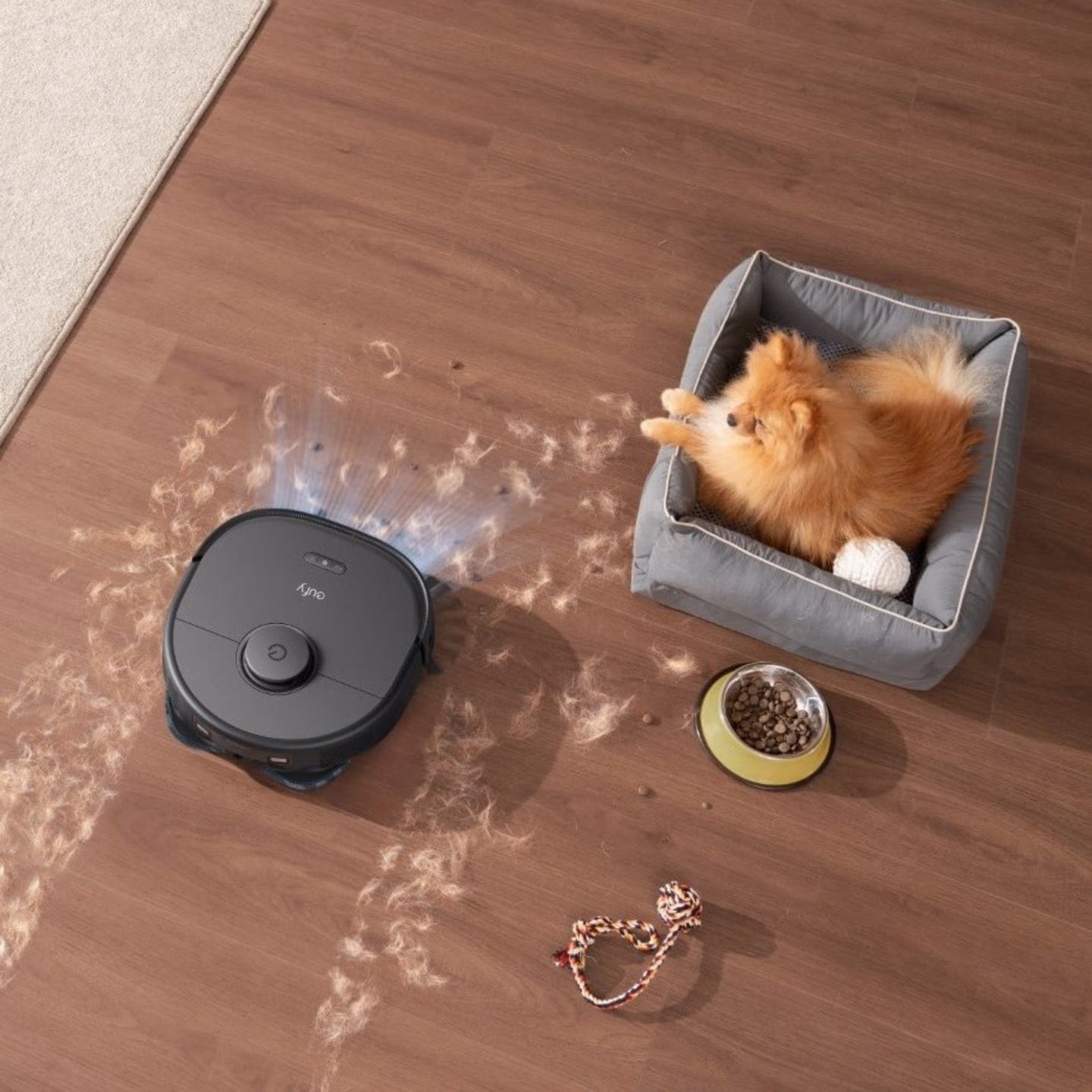 Met dierenhaarborstel voor huisdieren.jpg