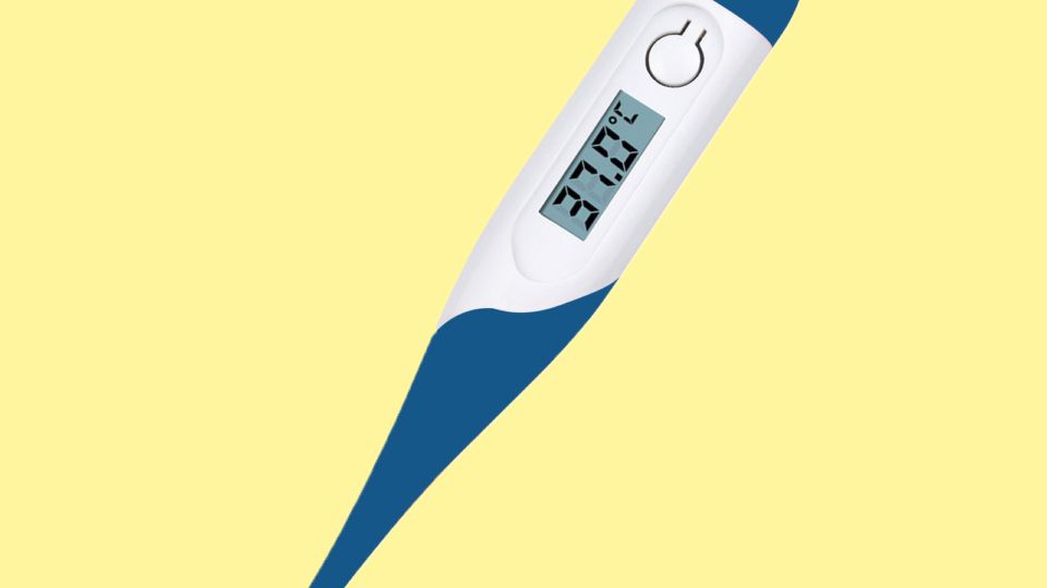 griep-thermometers.jpg