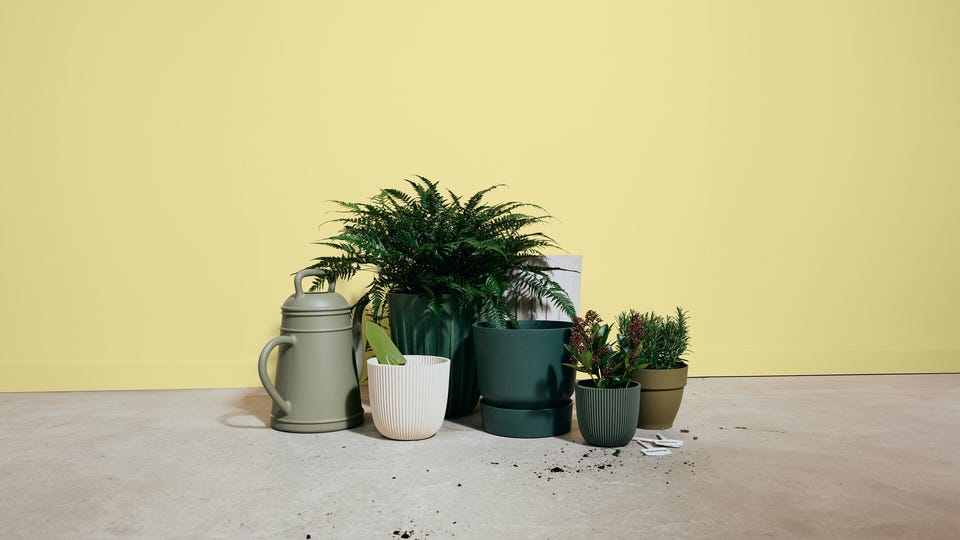 Groene tuin Groene tuin