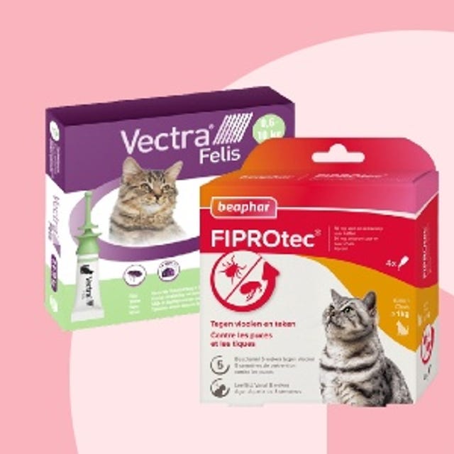 Kittenwinkel_Vlooienmiddel.jpg Kittenwinkel_Vlooienmiddel.jpg