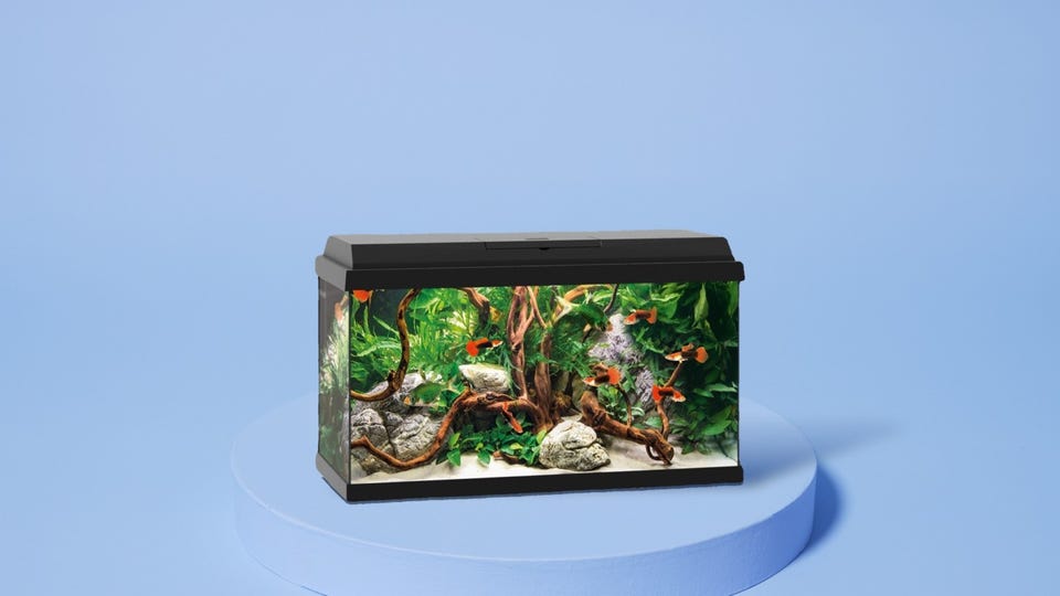 aquarium_breed_foot.jpg aquarium_breed_foot.jpg