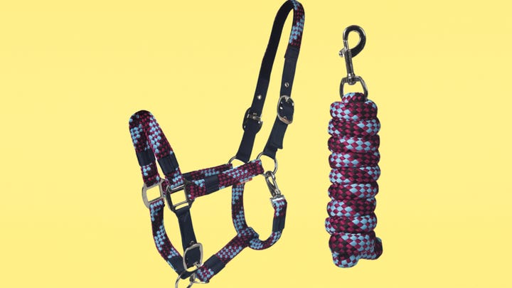 Red Horse - Halsterset - Zwart _ Paars.png Red Horse - Halsterset - Zwart _ Paars.png